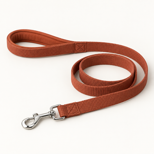 Everyday Dog Leash — hero view